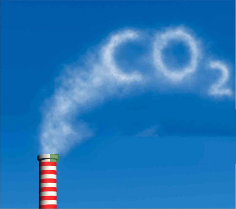 Fórmula 1 anuncia que pretende zerar pegada de carbono até 2030 - Olhar  Digital